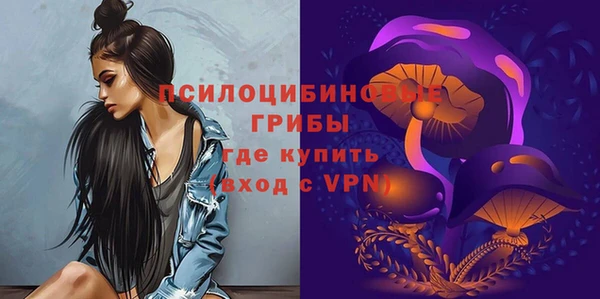 герыч Алексин