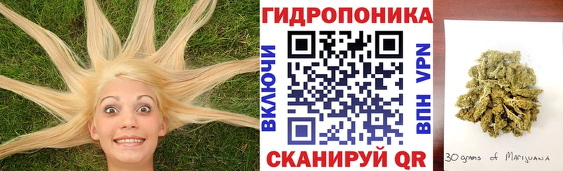 Конопля Bruce Banner  Сольвычегодск 